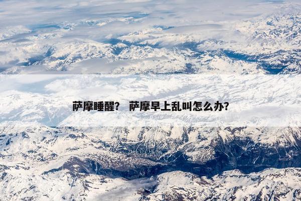 萨摩睡醒? 萨摩早上乱叫怎么办? 萨摩睡醒? 萨摩早上乱叫怎么办?