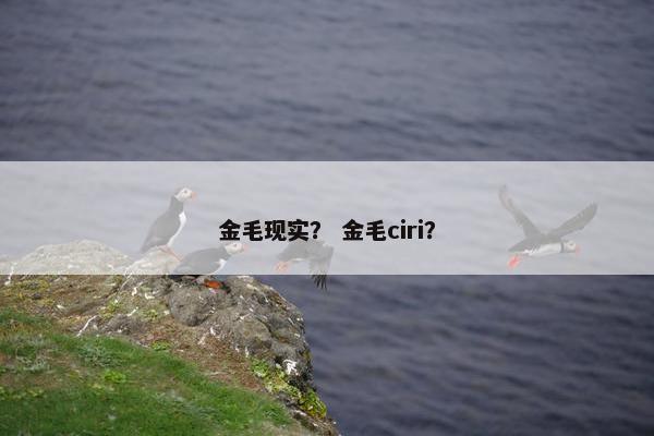 金毛现实？ 金毛ciri？