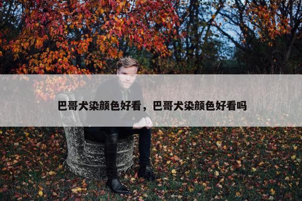 巴哥犬染颜色好看，巴哥犬染颜色好看吗