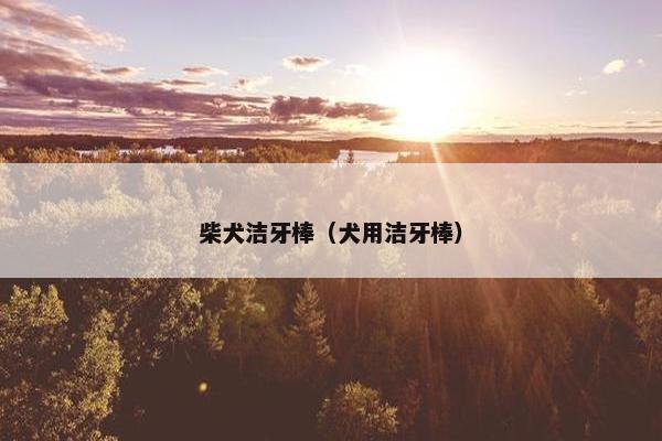 柴犬洁牙棒（犬用洁牙棒）