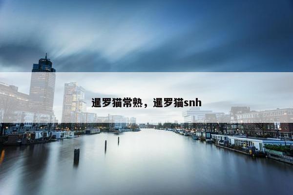 暹罗猫常熟,暹罗猫snh 暹罗猫常熟,暹罗猫snh