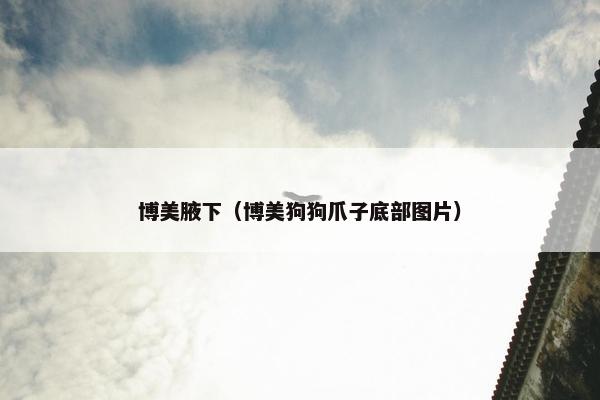 博美腋下（博美狗狗爪子底部图片）