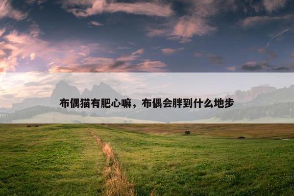 布偶猫有肥心嘛，布偶会胖到什么地步