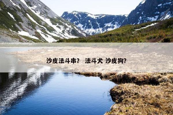 沙皮法斗串？ 法斗犬 沙皮狗？