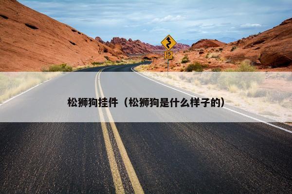 松狮狗挂件（松狮狗是什么样子的）