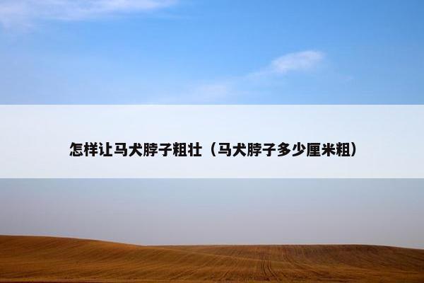 怎样让马犬脖子粗壮（马犬脖子多少厘米粗）