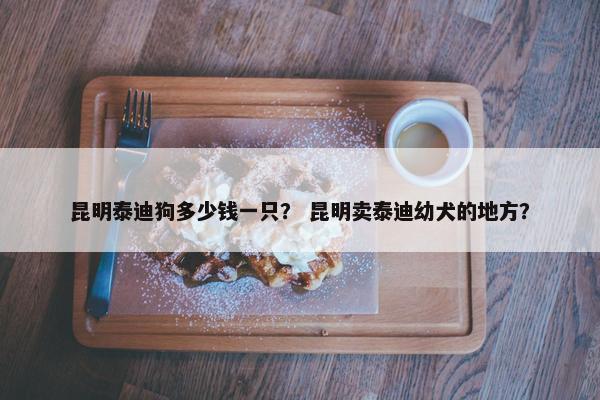 昆明泰迪狗多少钱一只？ 昆明卖泰迪幼犬的地方？