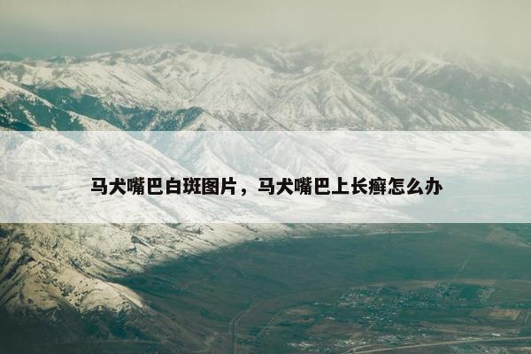 马犬嘴巴白斑图片，马犬嘴巴上长癣怎么办