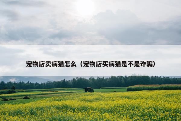 宠物店卖病猫怎么（宠物店买病猫是不是诈骗）