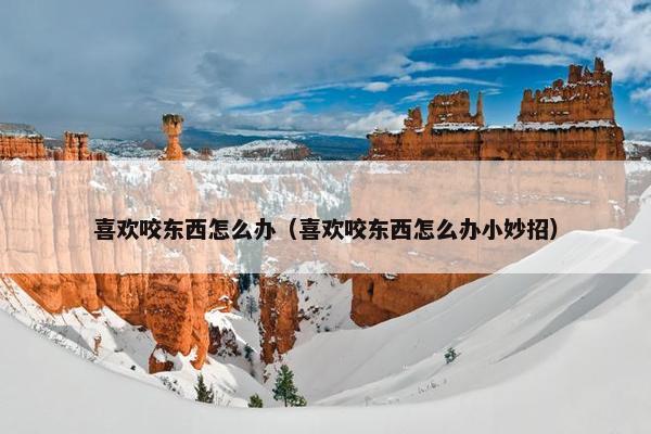喜欢咬东西怎么办（喜欢咬东西怎么办小妙招）
