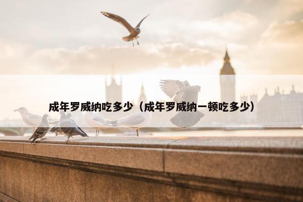 成年罗威纳吃多少（成年罗威纳一顿吃多少）
