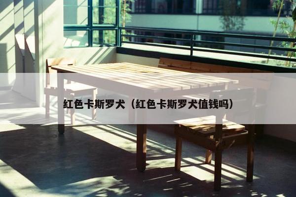 红色卡斯罗犬（红色卡斯罗犬值钱吗）