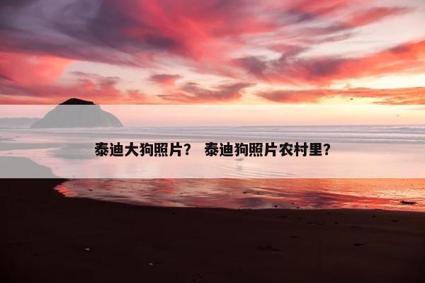 泰迪大狗照片？ 泰迪狗照片农村里？
