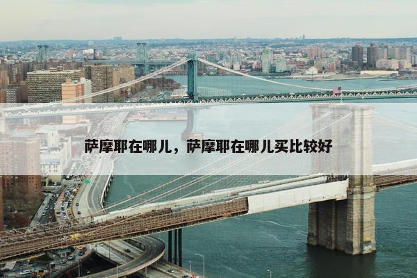 萨摩耶在哪儿，萨摩耶在哪儿买比较好