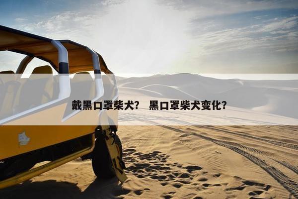 戴黑口罩柴犬？ 黑口罩柴犬变化？
