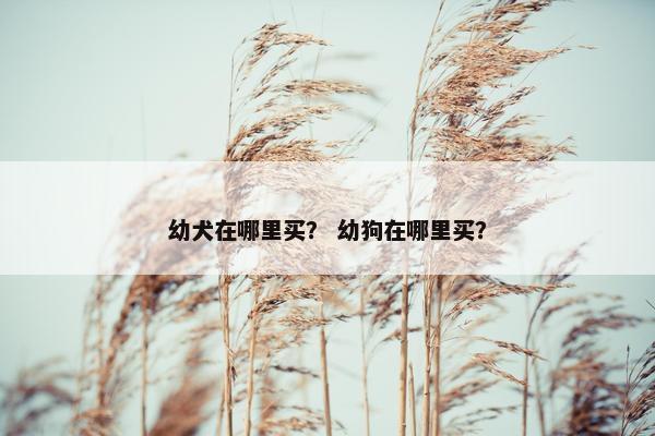 幼犬在哪里买？ 幼狗在哪里买？