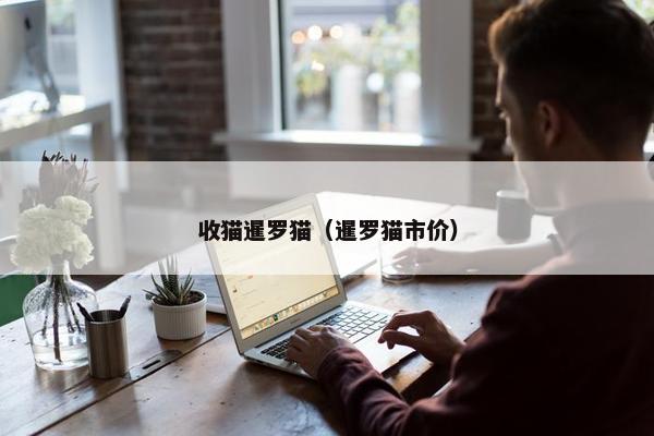 收猫暹罗猫（暹罗猫市价）