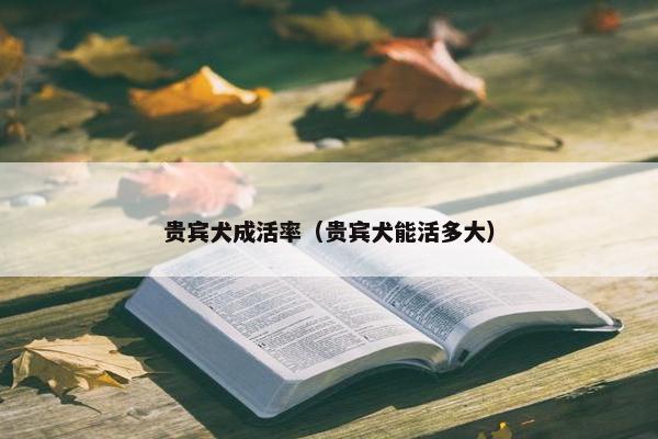 贵宾犬成活率（贵宾犬能活多大）