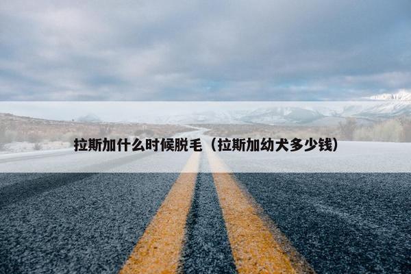 拉斯加什么时候脱毛（拉斯加幼犬多少钱）