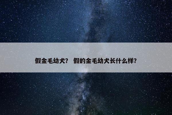 假金毛幼犬？ 假的金毛幼犬长什么样？