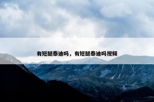 有短腿泰迪吗，有短腿泰迪吗视频