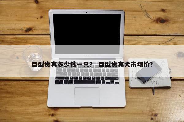 巨型贵宾多少钱一只？ 巨型贵宾犬市场价？