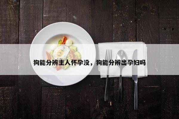 狗能分辨主人怀孕没，狗能分辨出孕妇吗