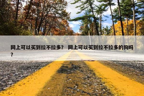 网上可以买到拉不拉多？ 网上可以买到拉不拉多的狗吗？