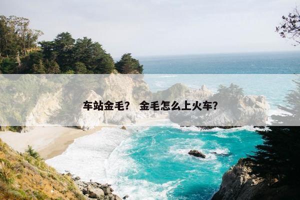 车站金毛？ 金毛怎么上火车？