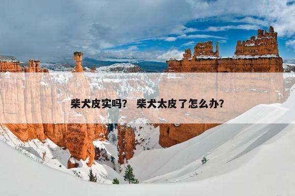 柴犬皮实吗？ 柴犬太皮了怎么办？