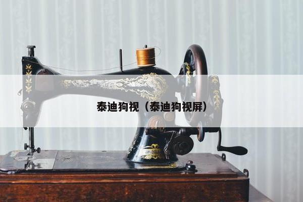 泰迪狗视（泰迪狗视屏）