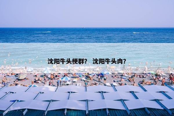沈阳牛头梗群？ 沈阳牛头肉？