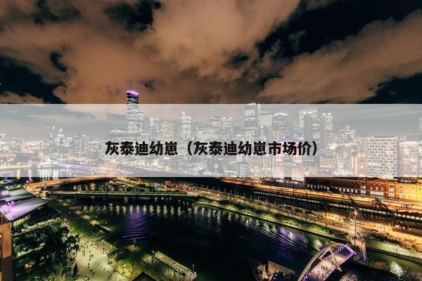 灰泰迪幼崽（灰泰迪幼崽市场价）