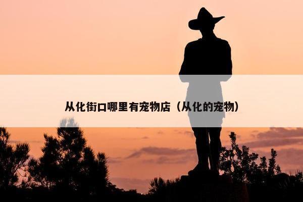从化街口哪里有宠物店（从化的宠物）