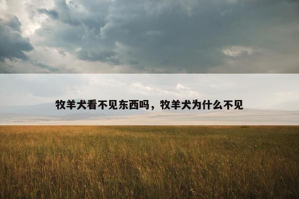 牧羊犬看不见东西吗，牧羊犬为什么不见
