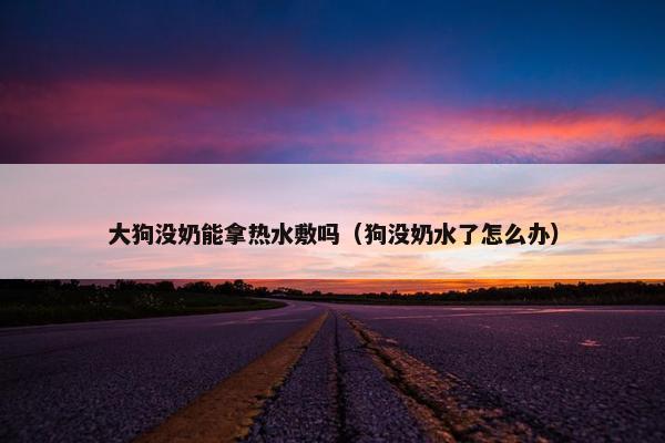 大狗没奶能拿热水敷吗（狗没奶水了怎么办）