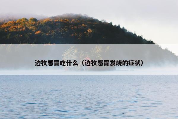 边牧感冒吃什么（边牧感冒发烧的症状）