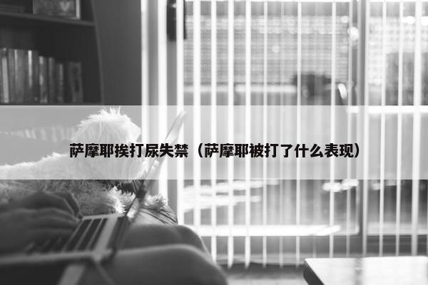 萨摩耶挨打尿失禁（萨摩耶被打了什么表现）