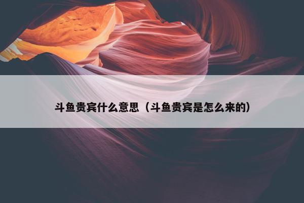 斗鱼贵宾什么意思（斗鱼贵宾是怎么来的）