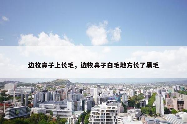边牧鼻子上长毛，边牧鼻子白毛地方长了黑毛