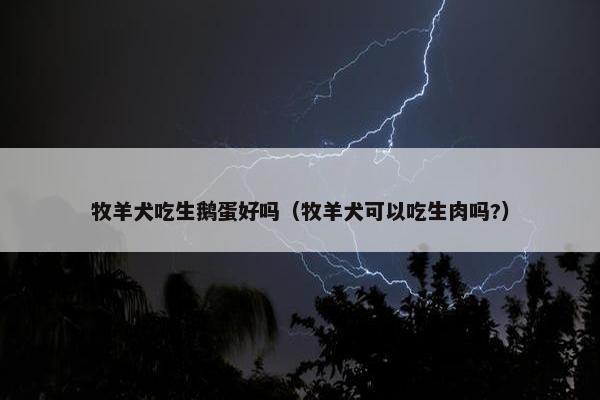 牧羊犬吃生鹅蛋好吗（牧羊犬可以吃生肉吗?）