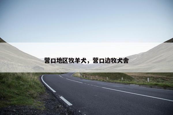 营口地区牧羊犬，营口边牧犬舍