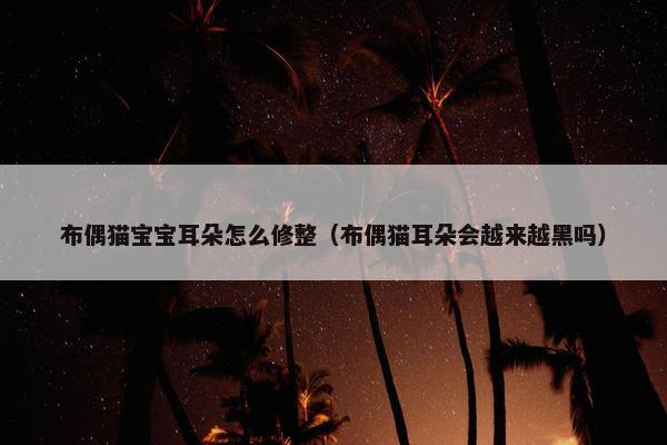 布偶猫宝宝耳朵怎么修整（布偶猫耳朵会越来越黑吗）