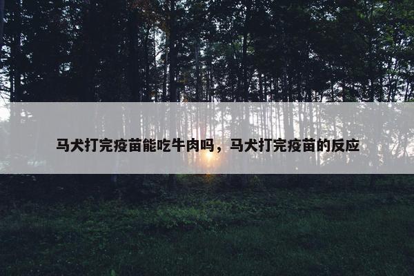 马犬打完疫苗能吃牛肉吗，马犬打完疫苗的反应