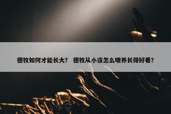 德牧如何才能长大？ 德牧从小该怎么喂养长得好看？