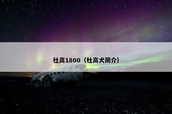 杜高1800（杜高犬简介）