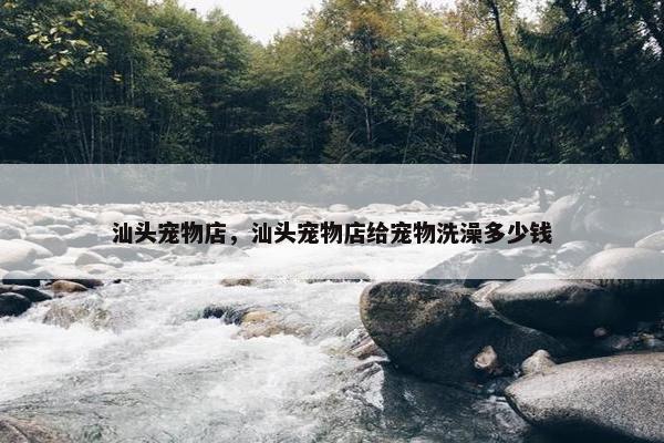 汕头宠物店，汕头宠物店给宠物洗澡多少钱