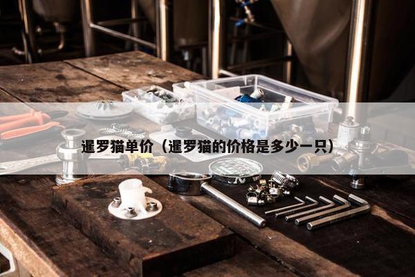 暹罗猫单价（暹罗猫的价格是多少一只）