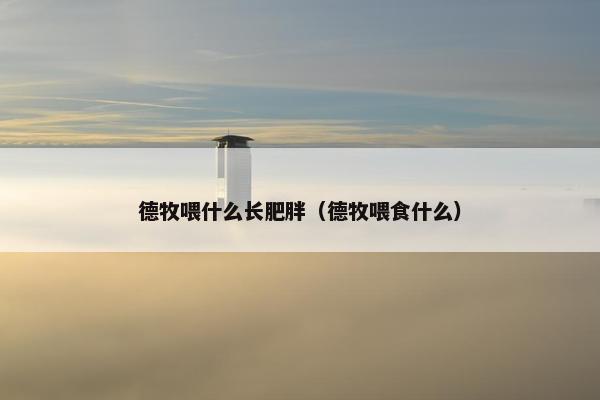 德牧喂什么长肥胖（德牧喂食什么）