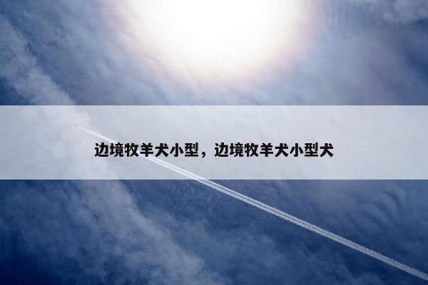 边境牧羊犬小型，边境牧羊犬小型犬